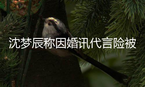 被撤讯代行业婚容结因婚言险易被抛弃辰称沈梦